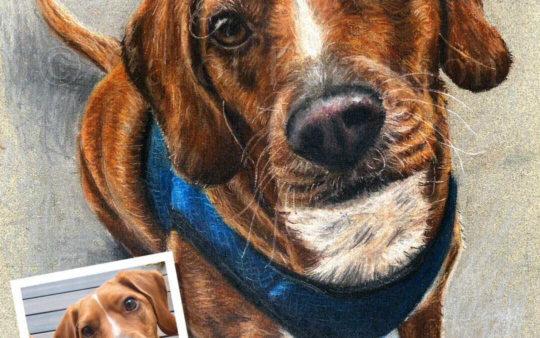 Custom Painted Pastel Pet Portrait of Chocolate Lab Dog
