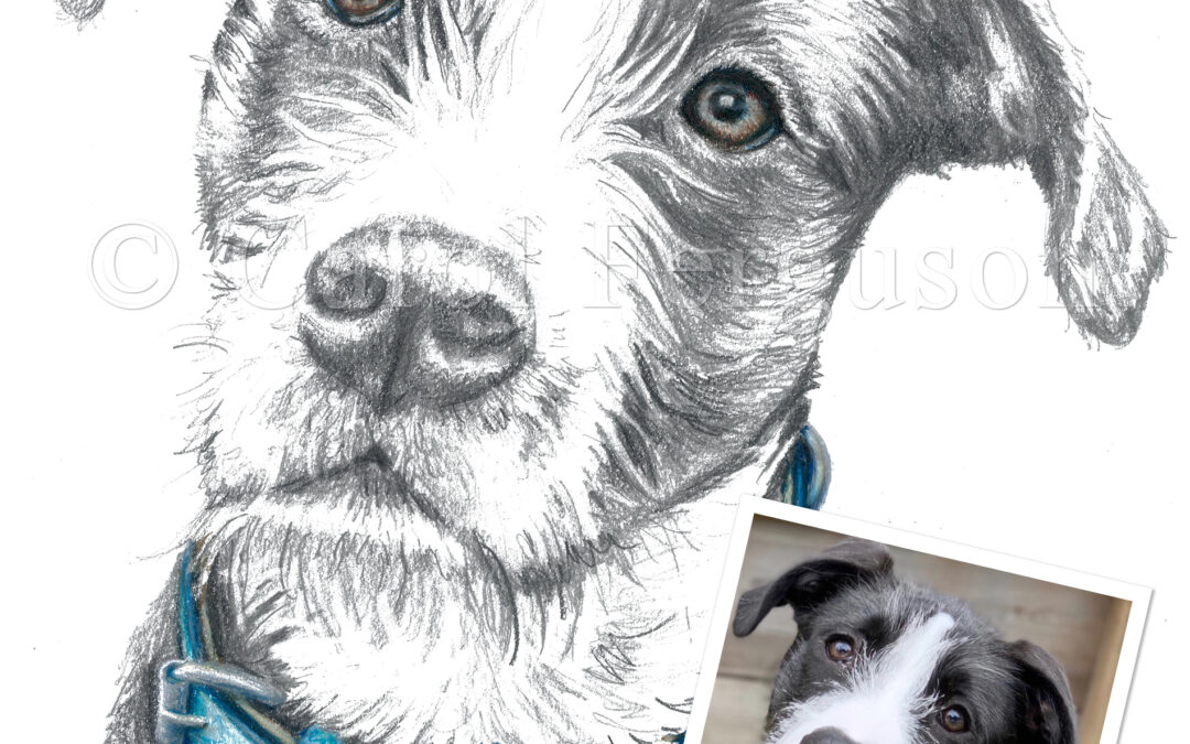 Custom Pet Dog Portrait for Houston TX Dog