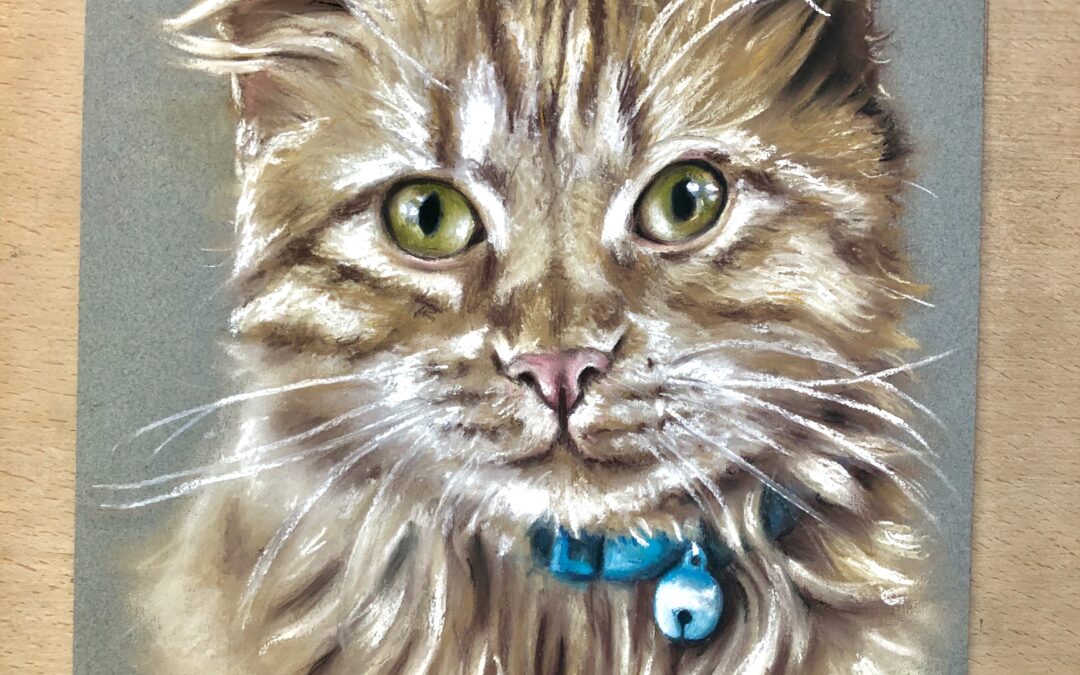 Cat Pet Portrait Artist